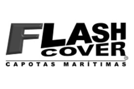 logo-flash-1